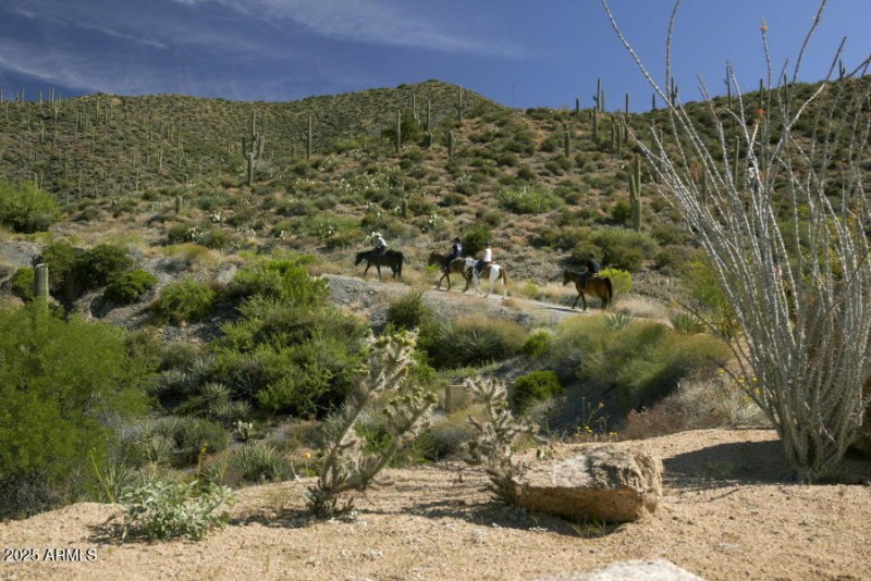 Trails horseback riding