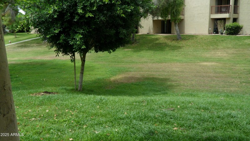 patio overlook commons
