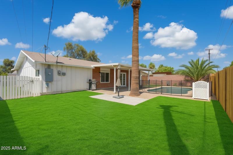 IndianolaBackyardGrass