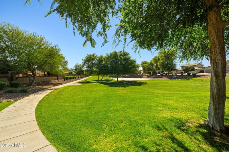 66-web-or-mls-Done-8