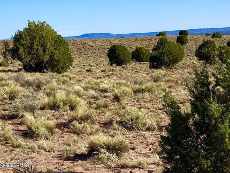 20250526052940207171000000-o