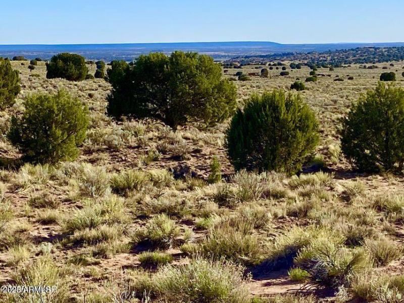 20250526053207981436000000-o