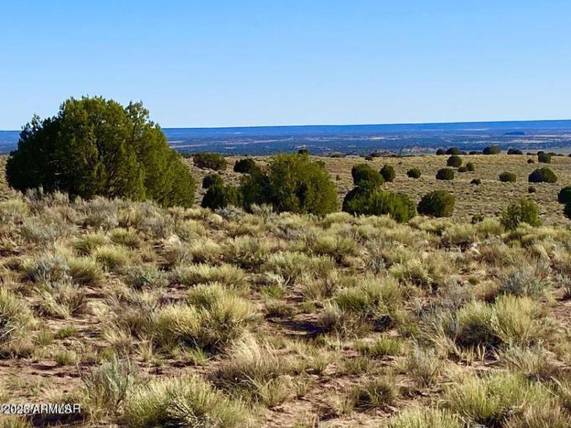 20250526052813066472000000-o