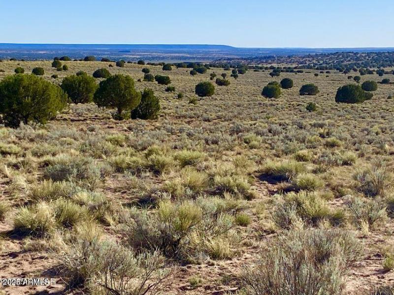 20250526052826676554000000-o