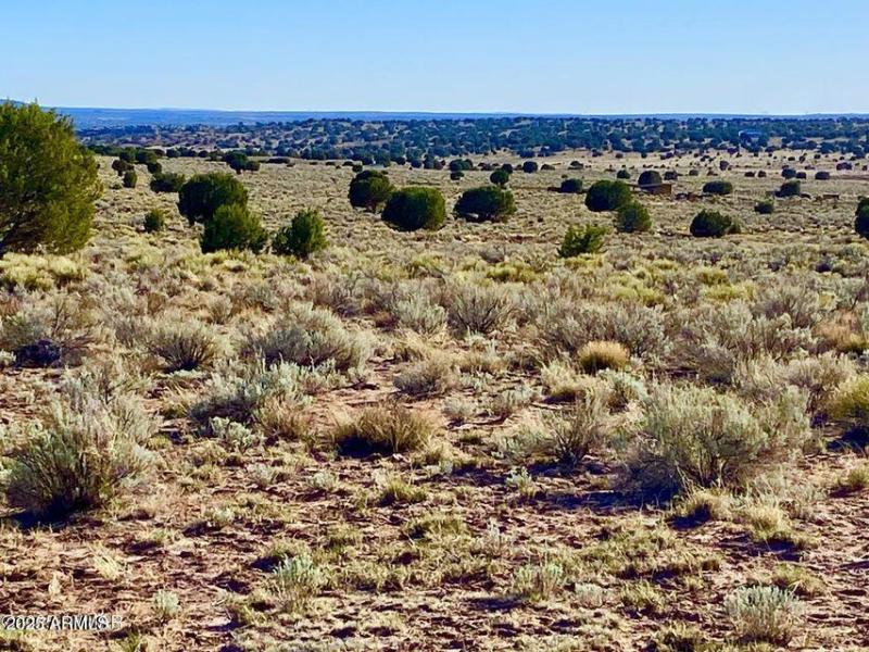 20250526052901221390000000-o