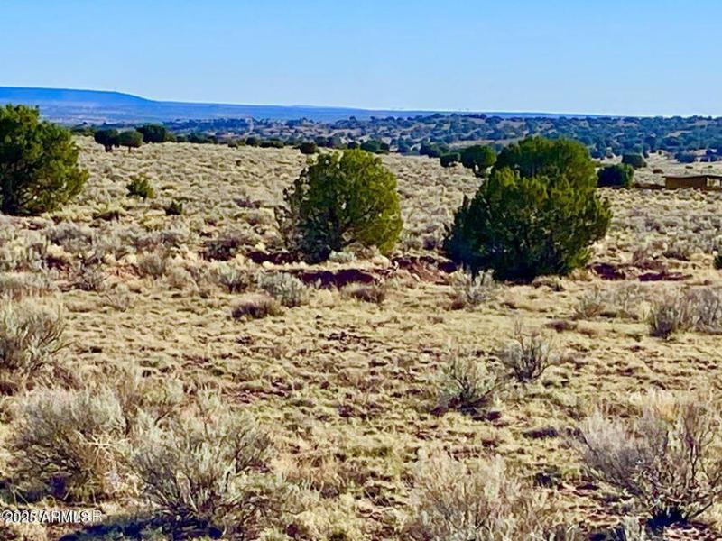 20250526053048453886000000-o