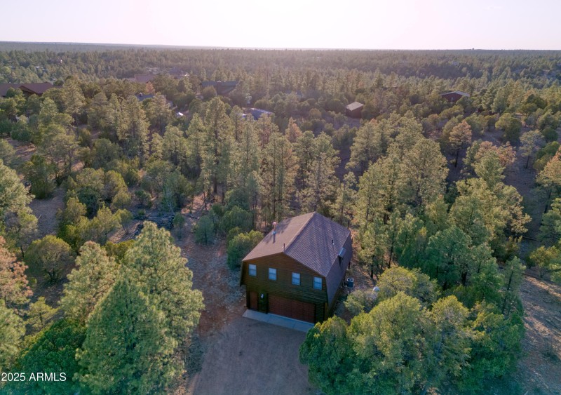 2836 Homestead Drive Overgaard, AZ 85933