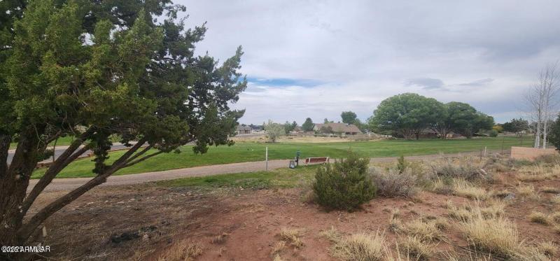 20250525194204820417000000-o