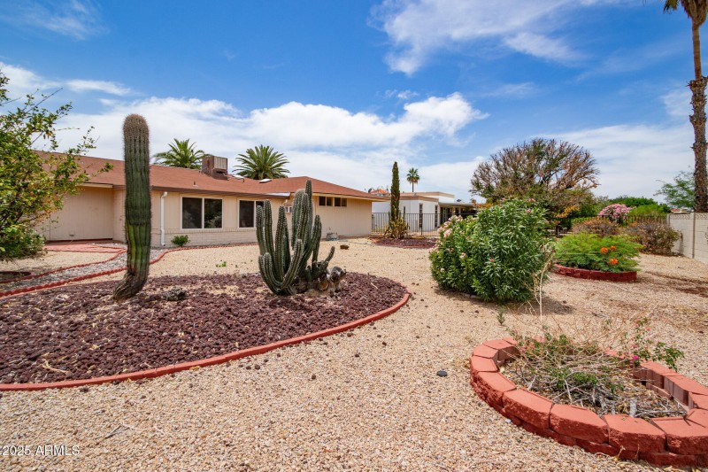 IMG_7536-Enhanced-NR