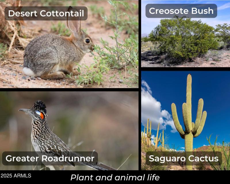 123WAriesDr_56173_21