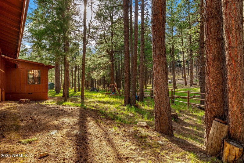 2499CanyonDr-ForestLakes-AZ-27