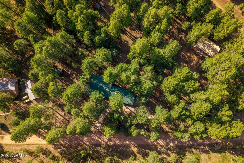 2499CanyonDr-ForestLakes-AZ-32