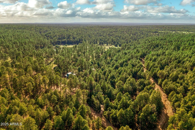 2499CanyonDr-ForestLakes-AZ-36