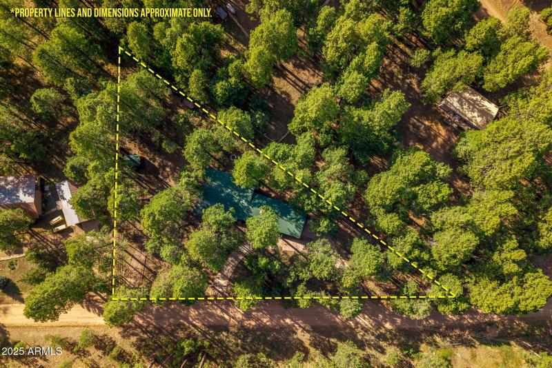 2499CanyonDr-ForestLakes-AZ-37