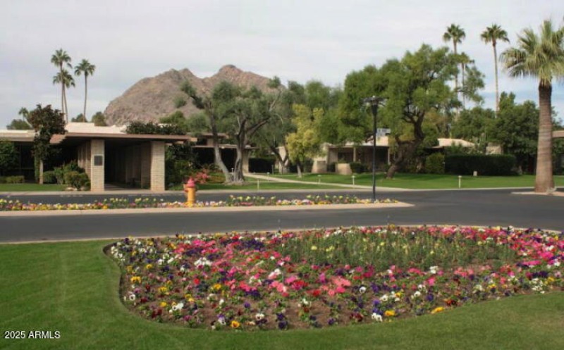 Clubhouse Drive