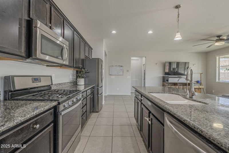 19-web-or-mls-Desert Spoon-19