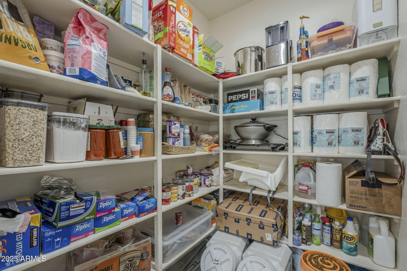 22-web-or-mls-Desert Spoon-22