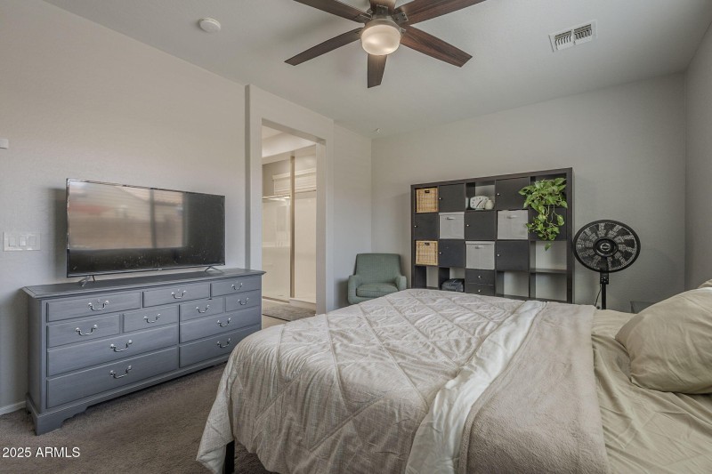 24-web-or-mls-Desert Spoon-24