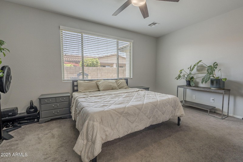 26-web-or-mls-Desert Spoon-26