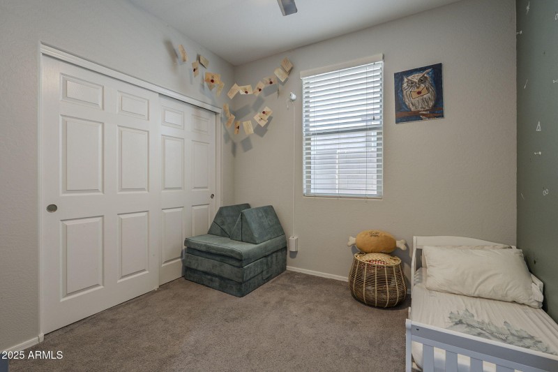 31-web-or-mls-Desert Spoon-31