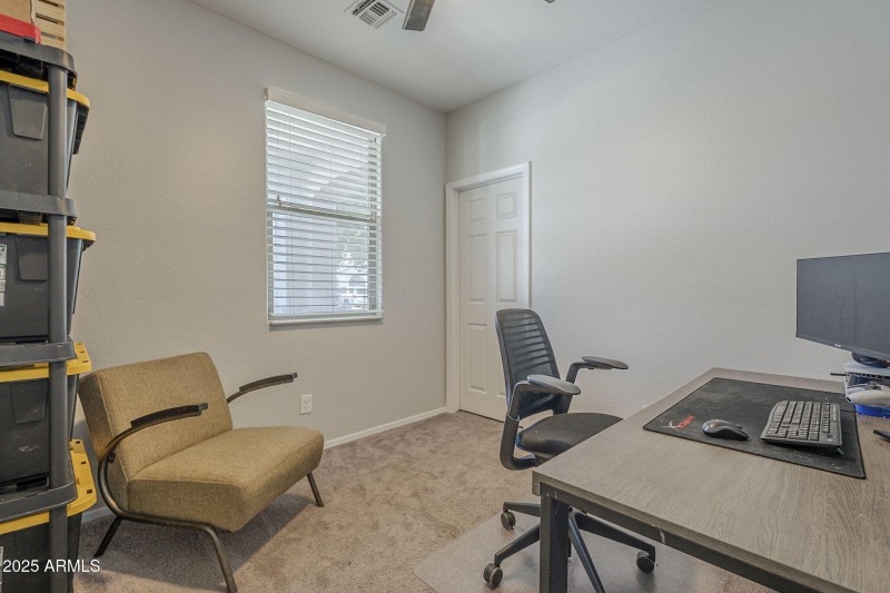 40-web-or-mls-Desert Spoon-40