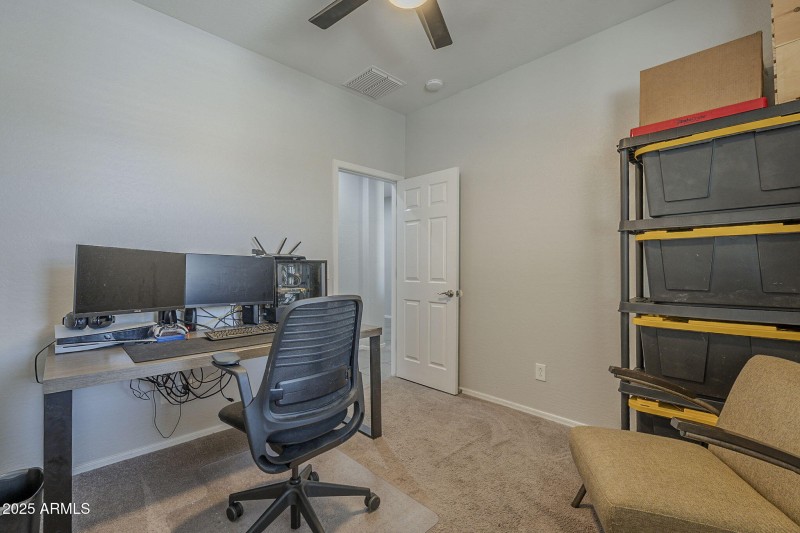 41-web-or-mls-Desert Spoon-41