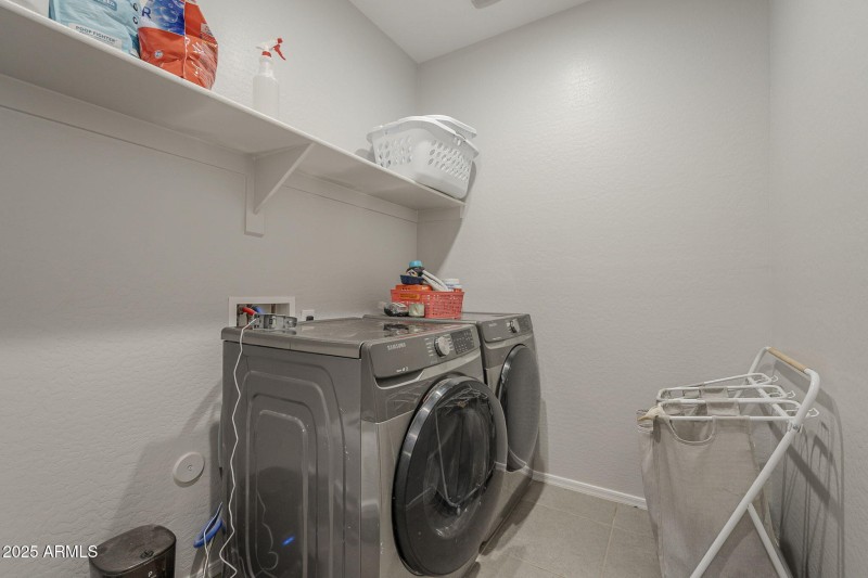 43-web-or-mls-Desert Spoon-43