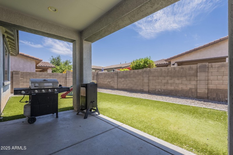 49-web-or-mls-Desert Spoon-49