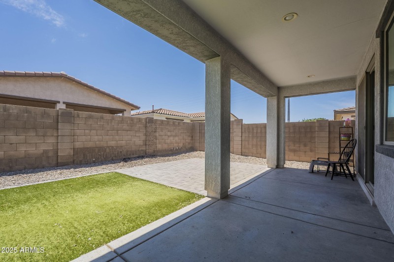 50-web-or-mls-Desert Spoon-50