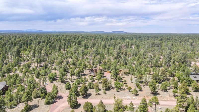 dji_fly_20250529_140516_263_174864691262