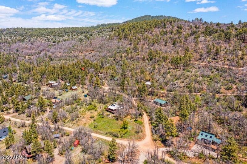 90 Ponderosa Dr Stoneman Lake-2