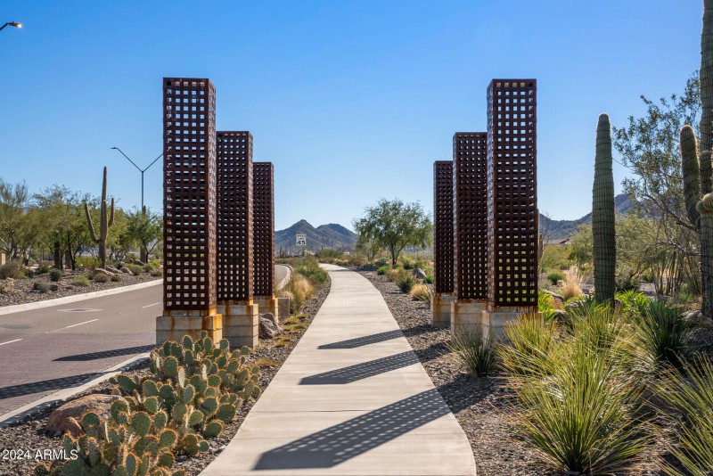 71_26568_W_Cat_Balue71_mls