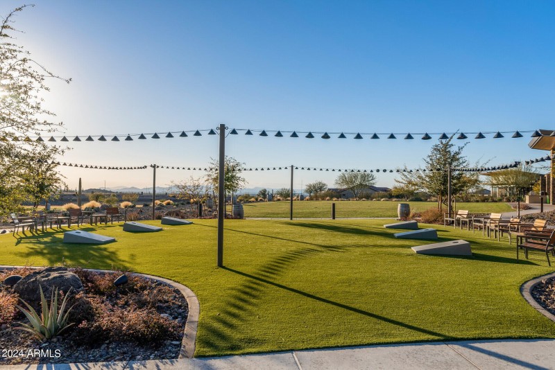 89_26568_W_Cat_Balue89_mls