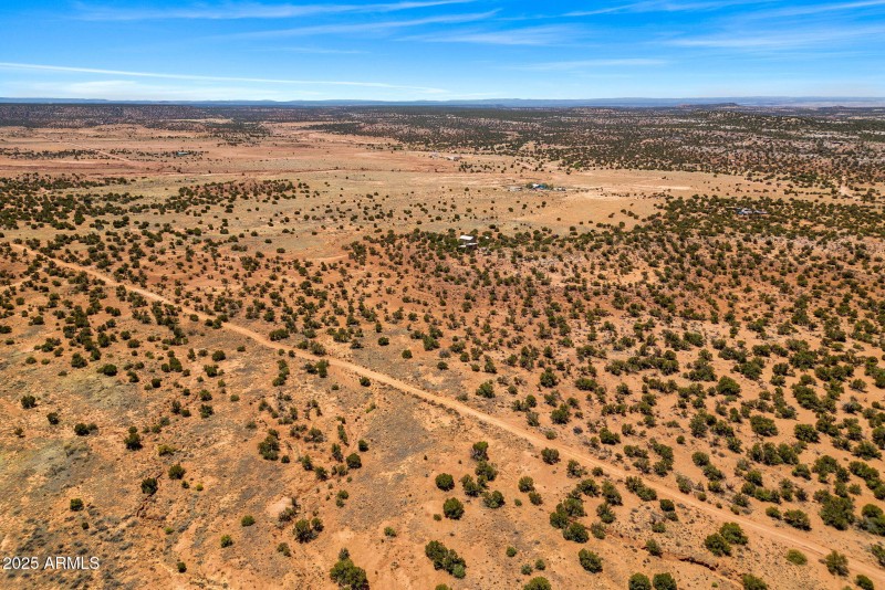 3733DelContento-Snowflake-AZ-15