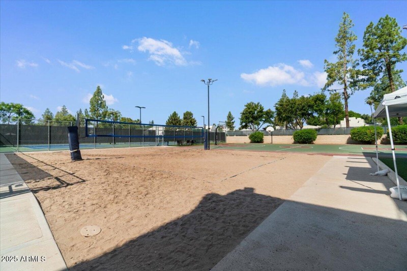 48-Community volleyball