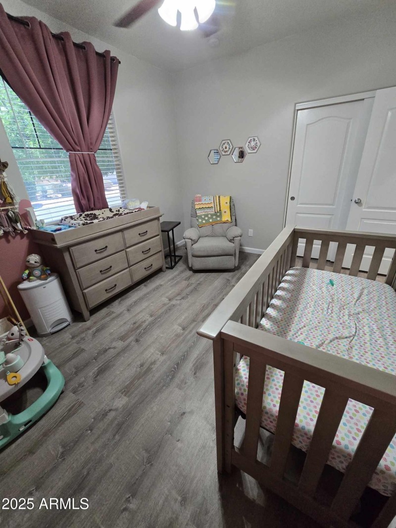 494361383_1803684170178238_2367568138323