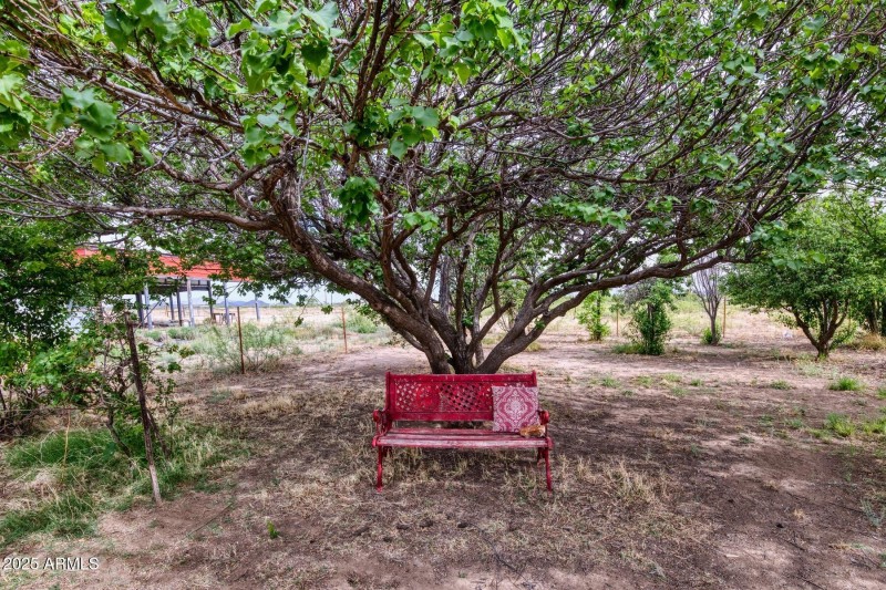 100012-11870 North Fort Grant Road