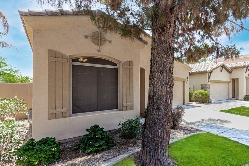 HOA Handles Grass/Yard