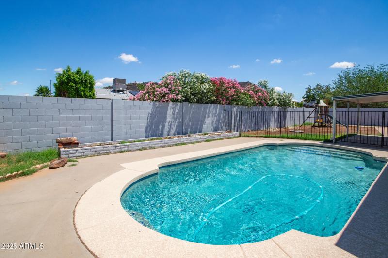 IMG_8126-Enhanced-NR