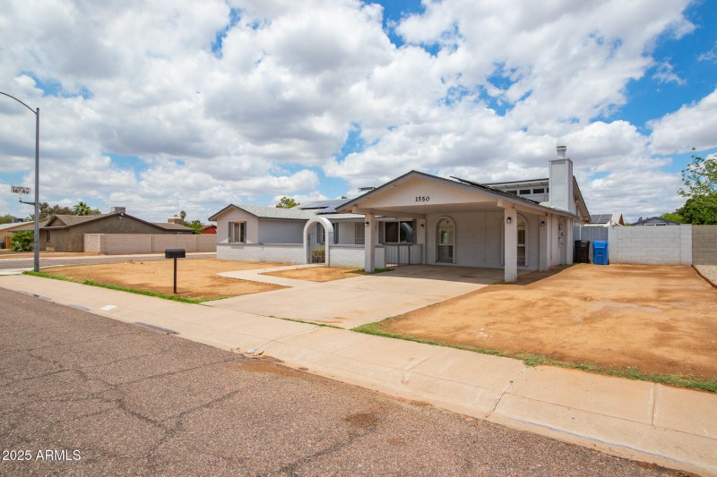 IMG_8151-Enhanced-NR