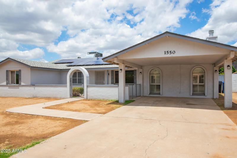 IMG_8155-Enhanced-NR