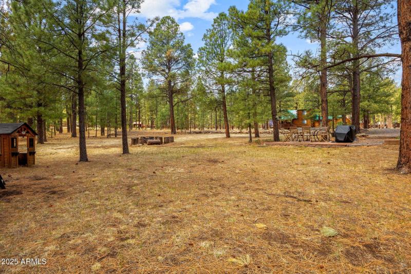 2ACR1027-Greer-AZ-41