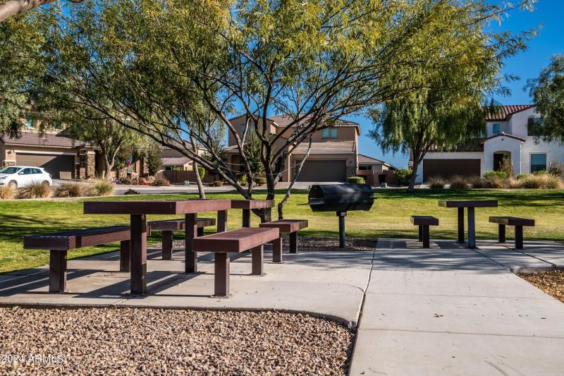 Picnic and BBQ for Party Hosting