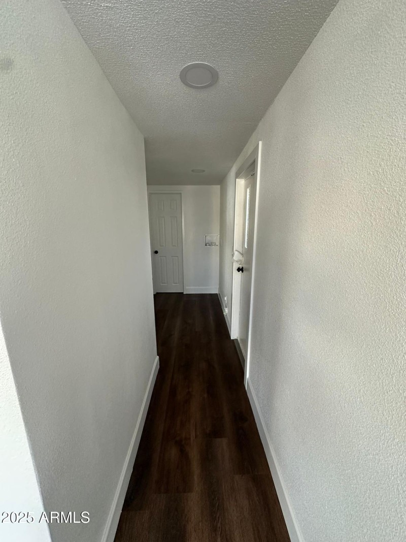 PHOTO-2025-06-03-19-44-38