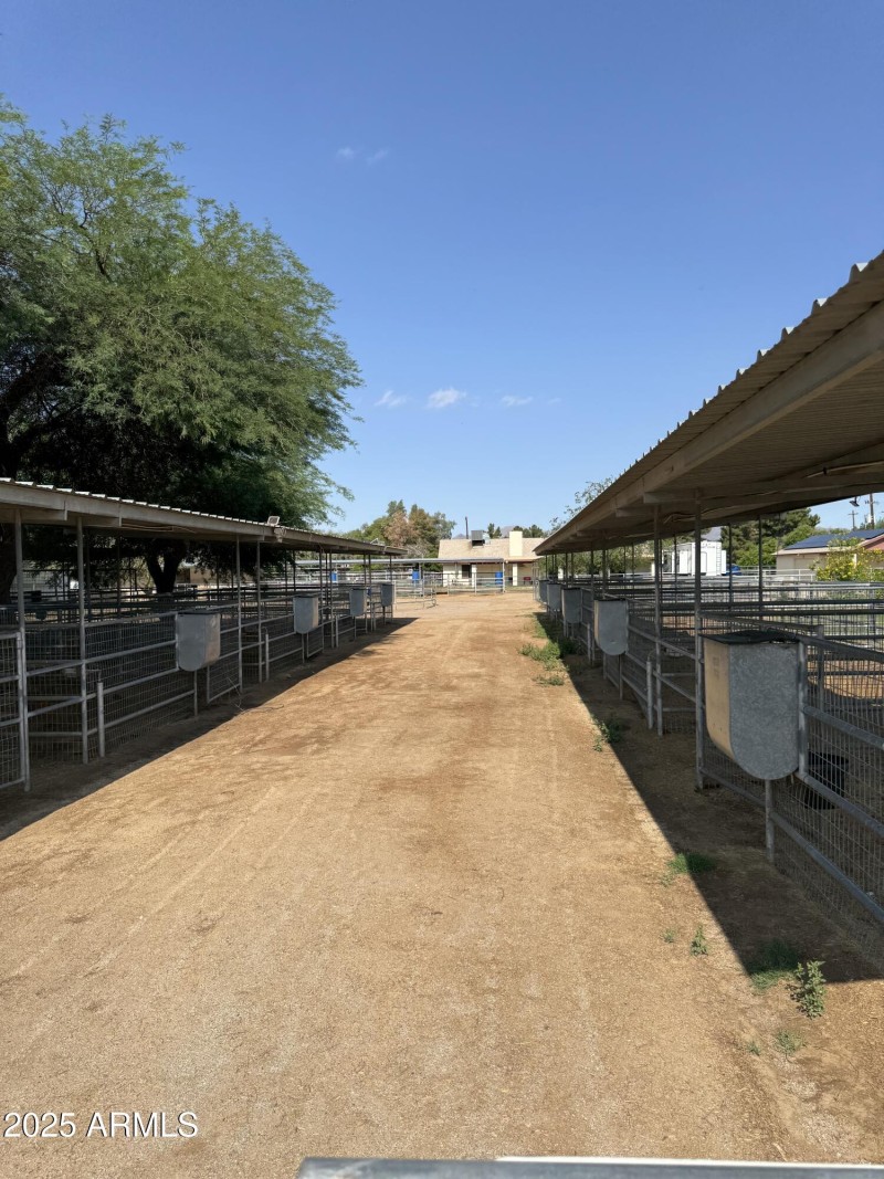 Horse stalls, covered and shaded,