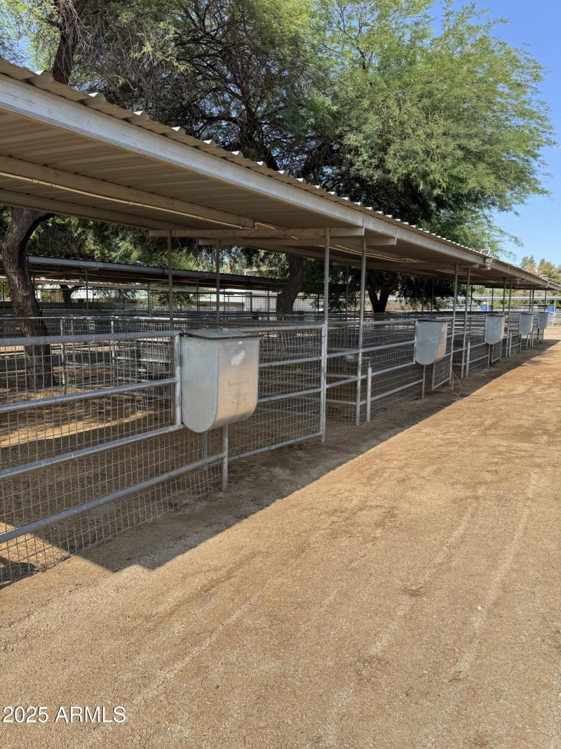 Horse stalls, 24+ in all