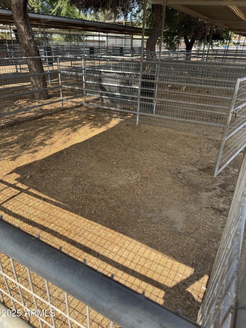 Horse stalls, 24+ in all 2