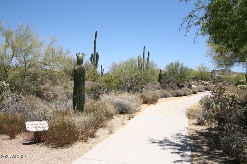 Terravita walking trails