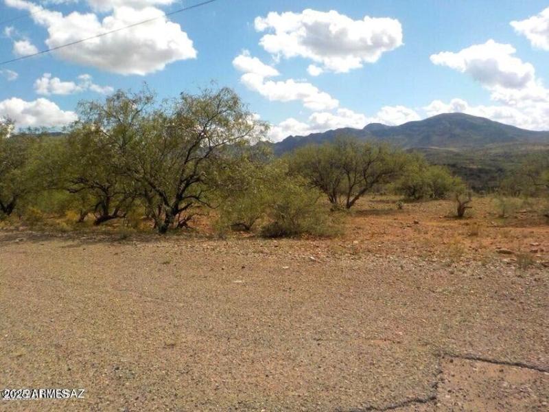 Flat, buildable lot