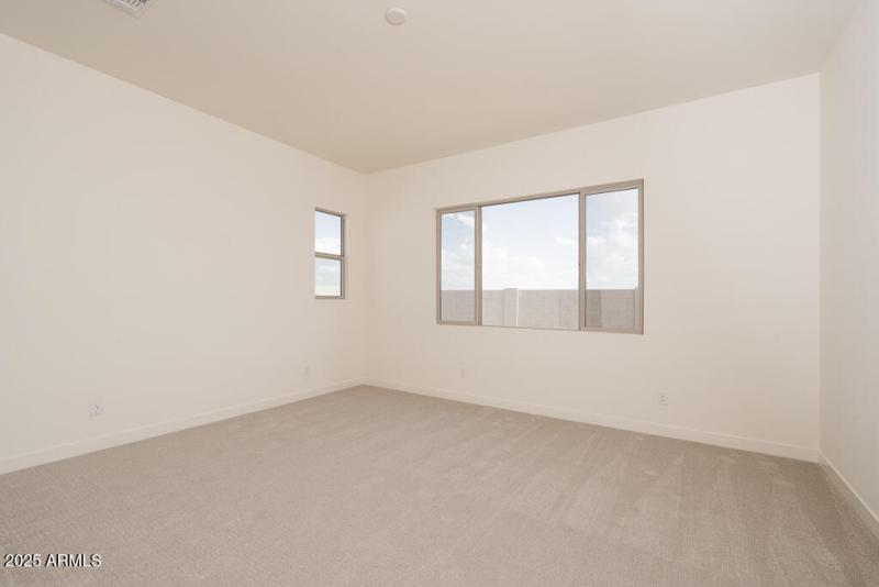 Tri Pointe Soleo 335 - Priamry Suite-1ML